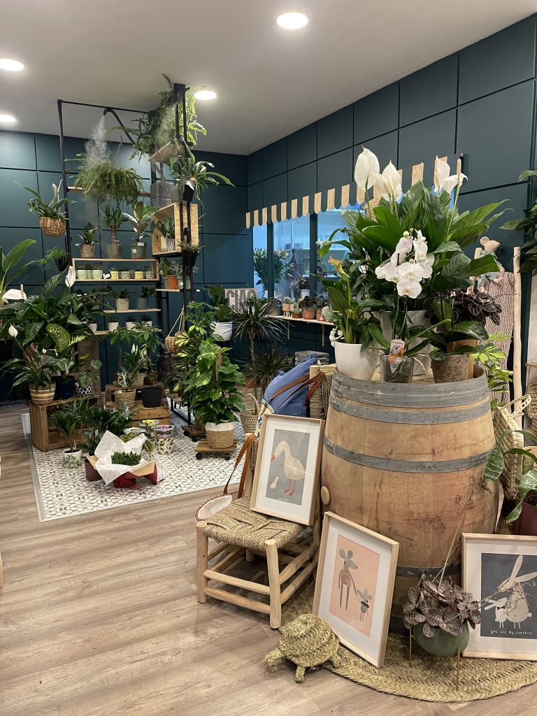 floristeria-flores-plantas-decoracion-aranda-de-duero