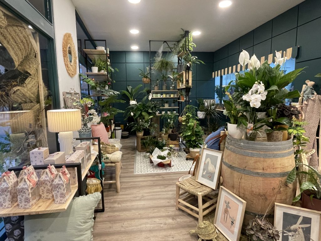 Floristería-decoración-plantas-hogar-dec·oh!-dec.oh!-aranda-de-duero
